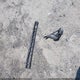 1C4PJMBS5HD214410 2017 Jeep Cherokee Trailhawk L Plus 4X4 auction photo thumbnail 12