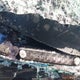 1HGCR2F31FA223426 2015 Honda Accord Lx auction photo thumbnail 17
