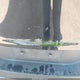 1C4PJMDS4FW563749 2015 Jeep Cherokee Limited auction photo thumbnail 20