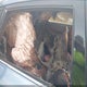 JF1GE60629H520275 2009 Subaru Impreza 2.5I auction photo thumbnail 8