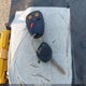 1GNEK13Z83J244579 2003 Chevrolet Tahoe Lt auction photo thumbnail 11