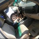 JTEZU14R960064309 2006 Toyota 4Runner Sr5 V6 auction photo thumbnail 5