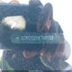 1G1PC5SB5E7411788 2014 Chevrolet Cruze 1Lt Auto auction photo thumbnail 9