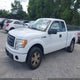 1FTEX1CW3AFB23197 2010 Ford F-150 Stx/Xl auction photo thumbnail 14