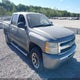 3GCEC13C09G179514 2009 Chevrolet Silverado 1500 Ls auction photo thumbnail 1