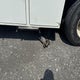 1HTWNAZT2AJ243595 2010 International 7000 7500 auction photo thumbnail 9