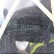 3KPFT4DEXSE059940 2025 Kia K4 Lxs auction photo thumbnail 17