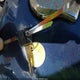 JYA3JCE08PA014961 1993 Yamaha Xv535 auction photo thumbnail 11