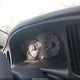 KMHDN46D66U322191 2006 Hyundai Elantra Gls/Limited auction photo thumbnail 6