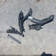 19XFB2F88FE294857 2015 Honda Civic Ex auction photo thumbnail 12