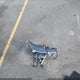 2T3W1RFV8LW064558 2020 Toyota Rav4 Xle auction photo thumbnail 12