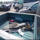 1FTYR10V8XUB72290 1999 Ford Ranger Xl/Xlt auction photo thumbnail 8