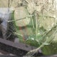 1FTYR10V8XUB72290 1999 Ford Ranger Xl/Xlt auction photo thumbnail 9