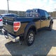 1FTFW1EV1AFA41366 2010 Ford F-150 Fx4/Harley-Davidson/King Ranch/Lariat/Platinum/Xl/Xlt auction photo thumbnail 4