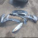 4T1BF1FK2HU658361 2017 Toyota Camry Le auction photo thumbnail 12