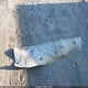 1J4GW48S04C326504 2004 Jeep Grand Cherokee Laredo auction photo thumbnail 12