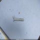 2HGFB2F56CH316989 2012 Honda Civic Lx auction photo thumbnail 11