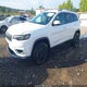 1C4PJMDX1KD444834 2019 Jeep Cherokee Limited 4X4 auction photo thumbnail 2