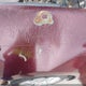 1HGCP26839A083496 2009 Honda Accord 2.4 Ex-L auction photo thumbnail 6