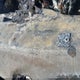 1GCHK33J1XF090706 1999 Chevrolet K3500 auction photo thumbnail 9