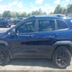 1C4PJMBS5FW641989 2015 Jeep Cherokee Trailhawk auction photo thumbnail 14