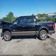 1FTEW1EF1GFB33901 2016 Ford F-150 King Ranch auction photo thumbnail 14