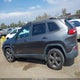 1C4PJLCS0GW275059 2016 Jeep Cherokee 75Th Anniversary auction photo thumbnail 14