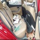 KMHDH4AE0DU784511 2013 Hyundai Elantra Limited auction photo thumbnail 8