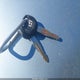 JHLRD18651S021221 2001 Honda Cr-V Ex auction photo thumbnail 11