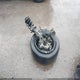 1C4PJLAB2FW585120 2015 Jeep Cherokee Sport auction photo thumbnail 12
