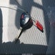 JTMBD31V075116093 2007 Toyota Rav4 Limited auction photo thumbnail 11