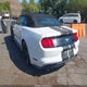 1FATP8UH9K5158789 2019 Ford Mustang Ecoboost auction photo thumbnail 3
