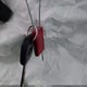 2G1FC1ED8B9120763 2011 Chevrolet Camaro 2Lt auction photo thumbnail 11