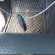 1FTYR10D82TA63253 2002 Ford Ranger Xl/Xlt auction photo thumbnail 11