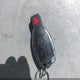 55SWF4KB3GU104717 2016 Mercedes-Benz C 300 4Matic/Luxury 4Matic/Sport 4Matic auction photo thumbnail 11