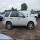 1FMCU03G09KC37384 2009 Ford Escape Xlt auction photo thumbnail 13