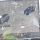 5YJ3E1EB9NF267483 2022 Tesla Model 3 Long Range Dual Motor All-Wheel Drive auction photo thumbnail 7