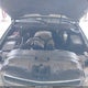 1GNFC13029R219805 2009 Chevrolet Tahoe Ls auction photo thumbnail 10