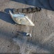 4T1BF3EK3BU762037 2011 Toyota Camry Le auction photo thumbnail 12