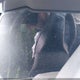 KL77LJE20RC164458 2024 Chevrolet Trax Fwd 2Rs auction photo thumbnail 14