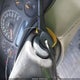 2GTEK19B361113285 2006 GMC Sierra 1500 Sle1 auction photo thumbnail 11