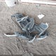 KM8R1DHE9MU277171 2021 Hyundai Palisade Se auction photo thumbnail 12