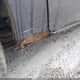 2B4GP44321R346450 2001 Dodge Grand Caravan Sport auction photo thumbnail 12