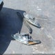 3FADP4BJ2FM223534 2015 Ford Fiesta Se auction photo thumbnail 12