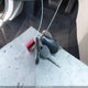 2C3HE76K94H685255 2004 Chrysler 300M Special auction photo thumbnail 11