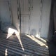 1GCGG25C691115038 2009 Chevrolet Express 2500 Work Van auction photo thumbnail 8