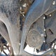 MH3RH06Y2FK007236 2015 Yamaha Yzfr3 auction photo thumbnail 9