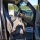 1FTPX27L1XNA01399 1999 Ford F-250 Lariat/Work Series/Xl/Xlt auction photo thumbnail 5