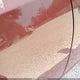 1N4AA5AP8BC849262 2011 Nissan Maxima 3.5 Sv auction photo thumbnail 13