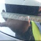 3HGCG56442G701592 2002 Honda Accord 2.3 Lx auction photo thumbnail 9